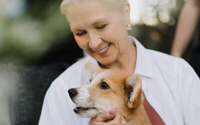 End-Of-Life-Planning: Don’t Forget About Your Pets!